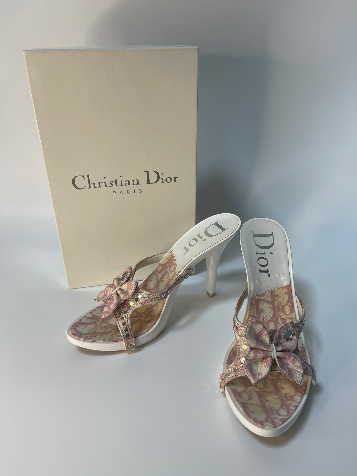 Christian Dior shoes